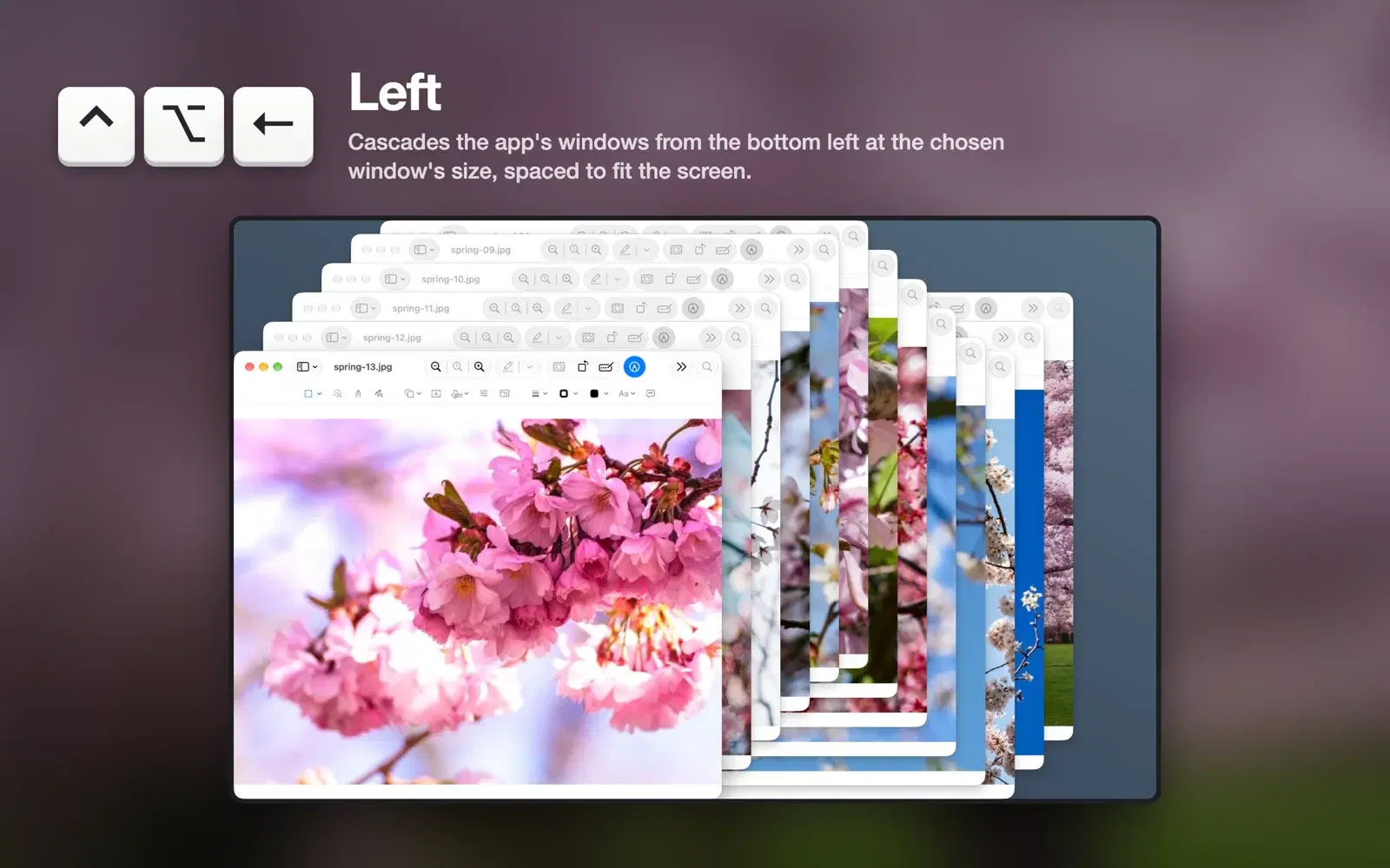Thirteen spring photo windows cascaded with ⌃⌥←. The selected window sits at the bottom left, with the title bars of the rest showing above it.