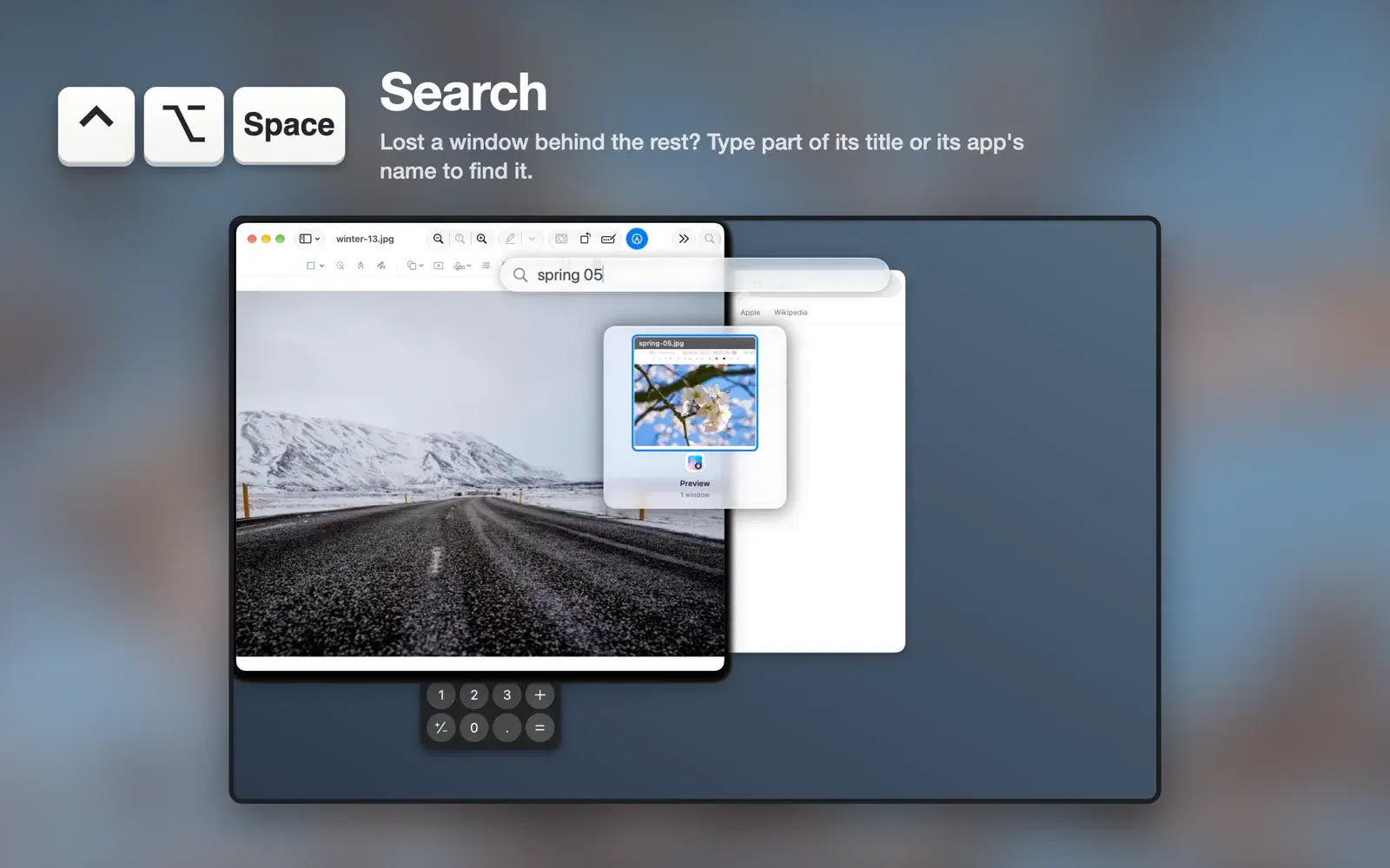 The Window Resizing view with “spring 05” typed in the search field, leaving a single photo window.