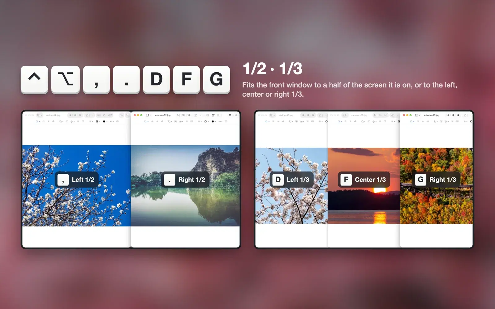 Two photo windows fitted to each half of the screen with ⌃⌥, and ⌃⌥., and three fitted to thirds with ⌃⌥D, F, G.